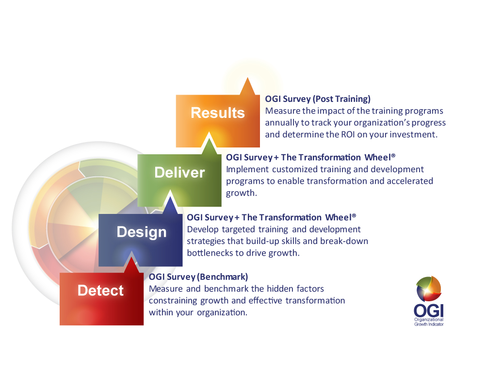 The OGI Process Graphic